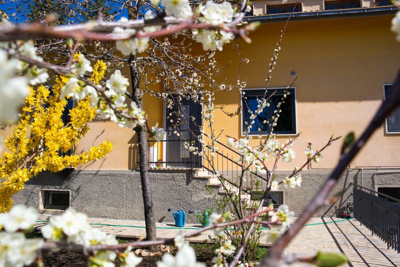 B&B A Casa Di Emy バリシャーノ エクステリア 写真